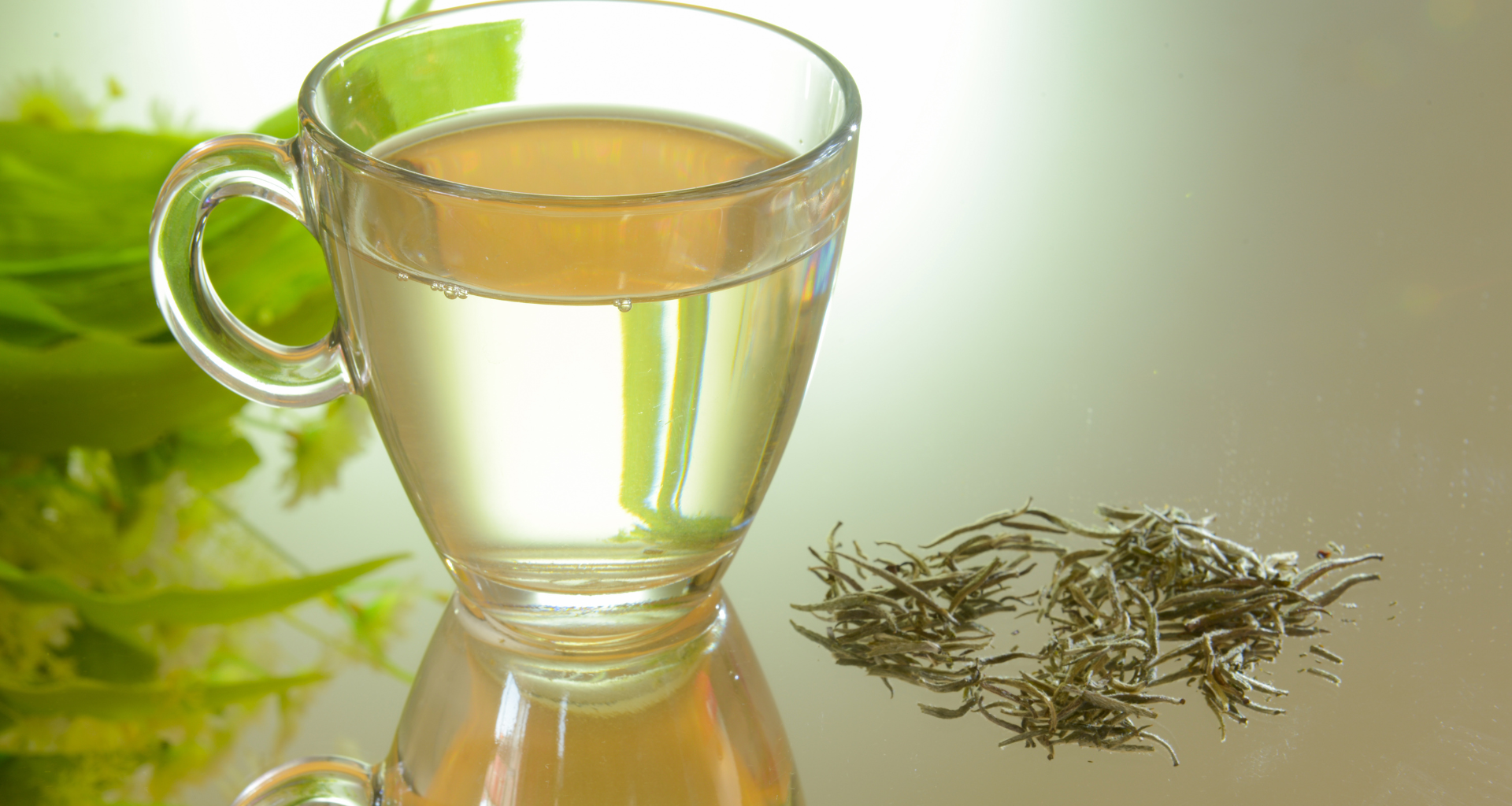 Read more about the article White Tea Shot Recipe