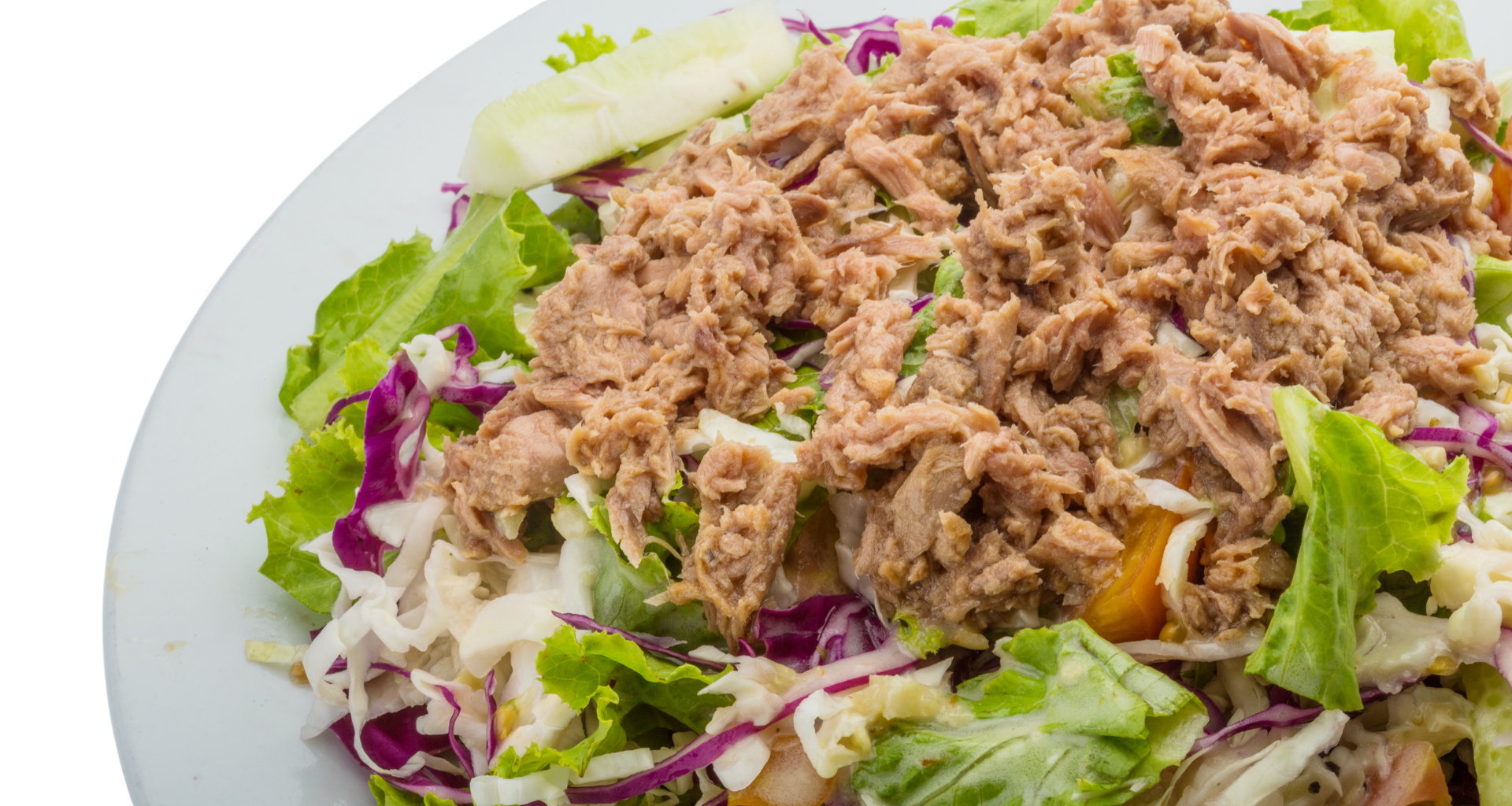 Read more about the article Tuna Salad Recipe